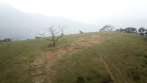 高州浮山岭48号风车游玩路线攻略-高凉南北