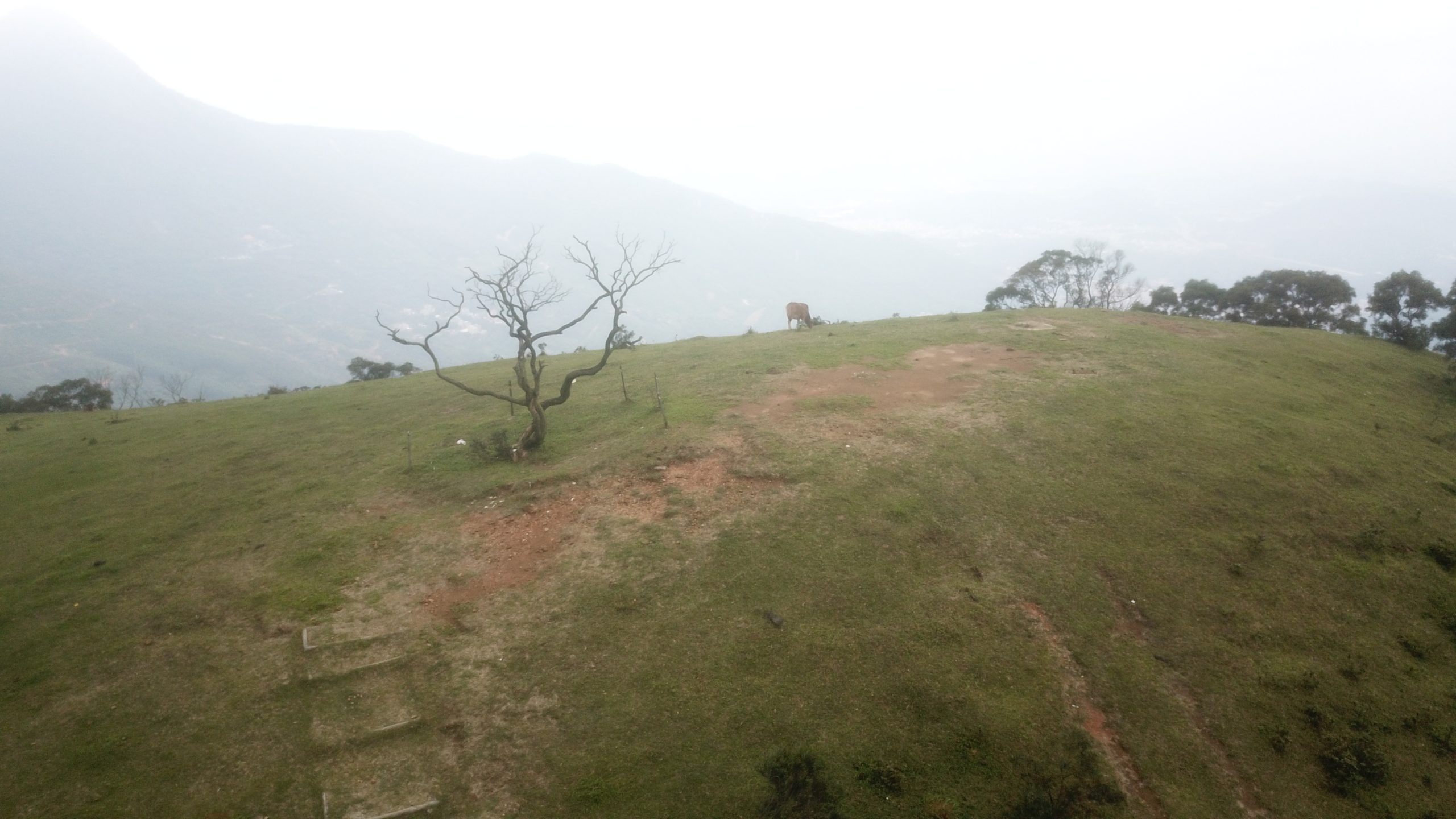 高州浮山岭48号风车游玩路线攻略-高凉南北