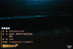 电白北山村海滩蓝眼泪、博贺海洋气象科学实验基地蓝眼泪-高凉南北