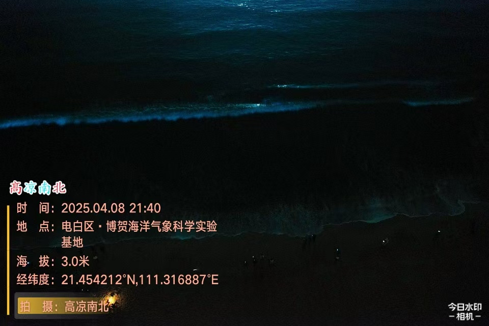 电白北山村海滩蓝眼泪、博贺海洋气象科学实验基地蓝眼泪-高凉南北