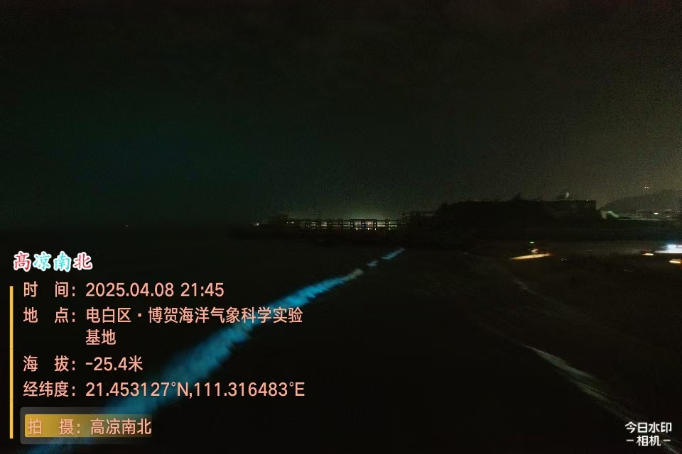 图片[2]-电白北山村海滩蓝眼泪、博贺海洋气象科学实验基地蓝眼泪-高凉南北