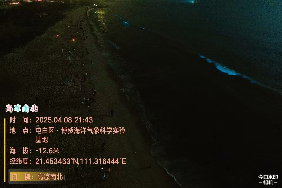 图片[3]-电白北山村海滩蓝眼泪、博贺海洋气象科学实验基地蓝眼泪-高凉南北