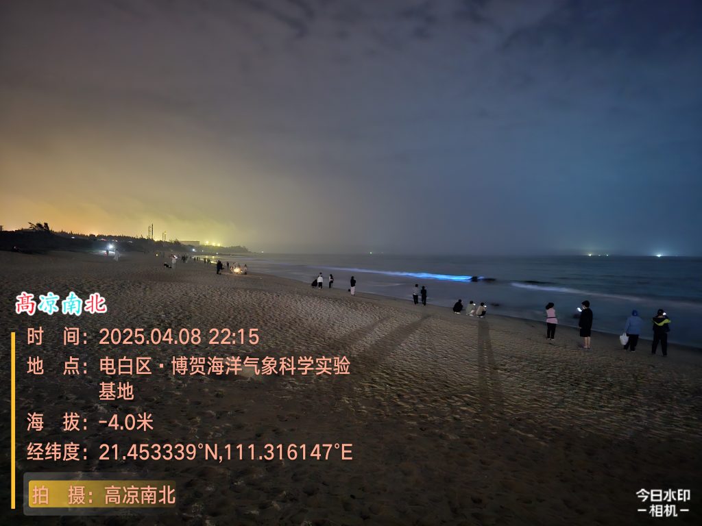 图片[4]-电白北山村海滩蓝眼泪、博贺海洋气象科学实验基地蓝眼泪-高凉南北