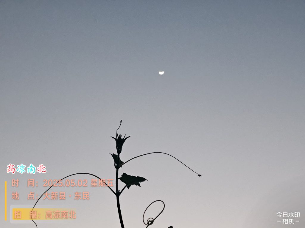 图片[4]-广西崇左大新2025-5-1记-高凉南北