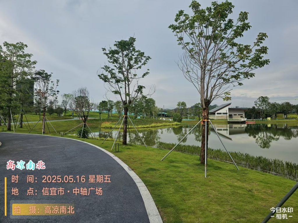 图片[4]-信宜中轴广场-高凉南北