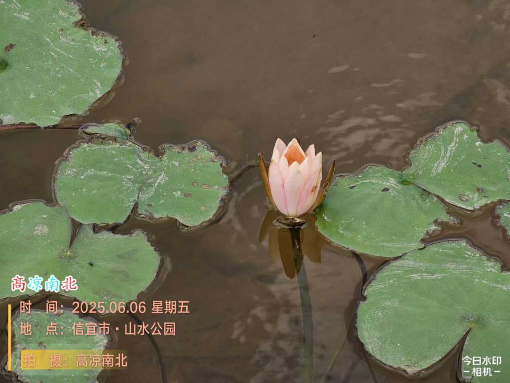 图片[7]-周末休闲、饭后散步、溜娃溜狗、跑步骑行好去处-山水公园-高凉南北