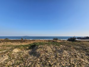 电白各个区镇年例日期表~各地年例时间表来了~电白-高凉南北